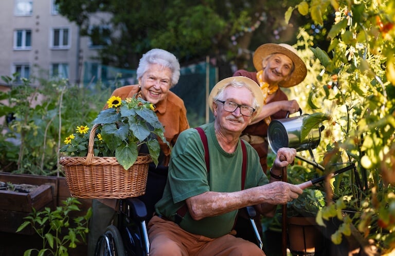 Elderly Residents Tending a Vegetable Garden With Sunflowers in Independent Living